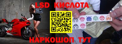 прущие грибы Ипатово