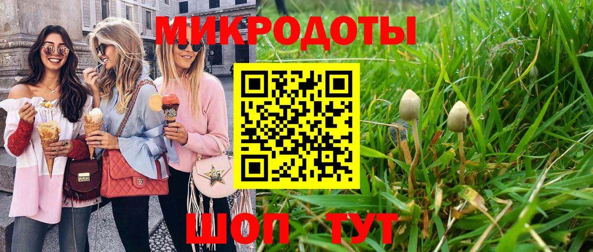 Галлюциногенные грибы Cubensis  Псилоцибиновые грибы ЛСД  Вход с VPN  Партизанск 